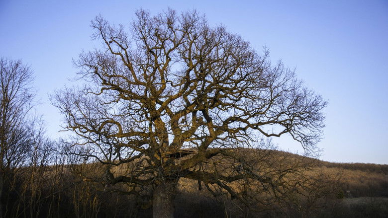 Gallery image from pq5dtmyz91D9WTAhyNZdbkyqNWW.jpg