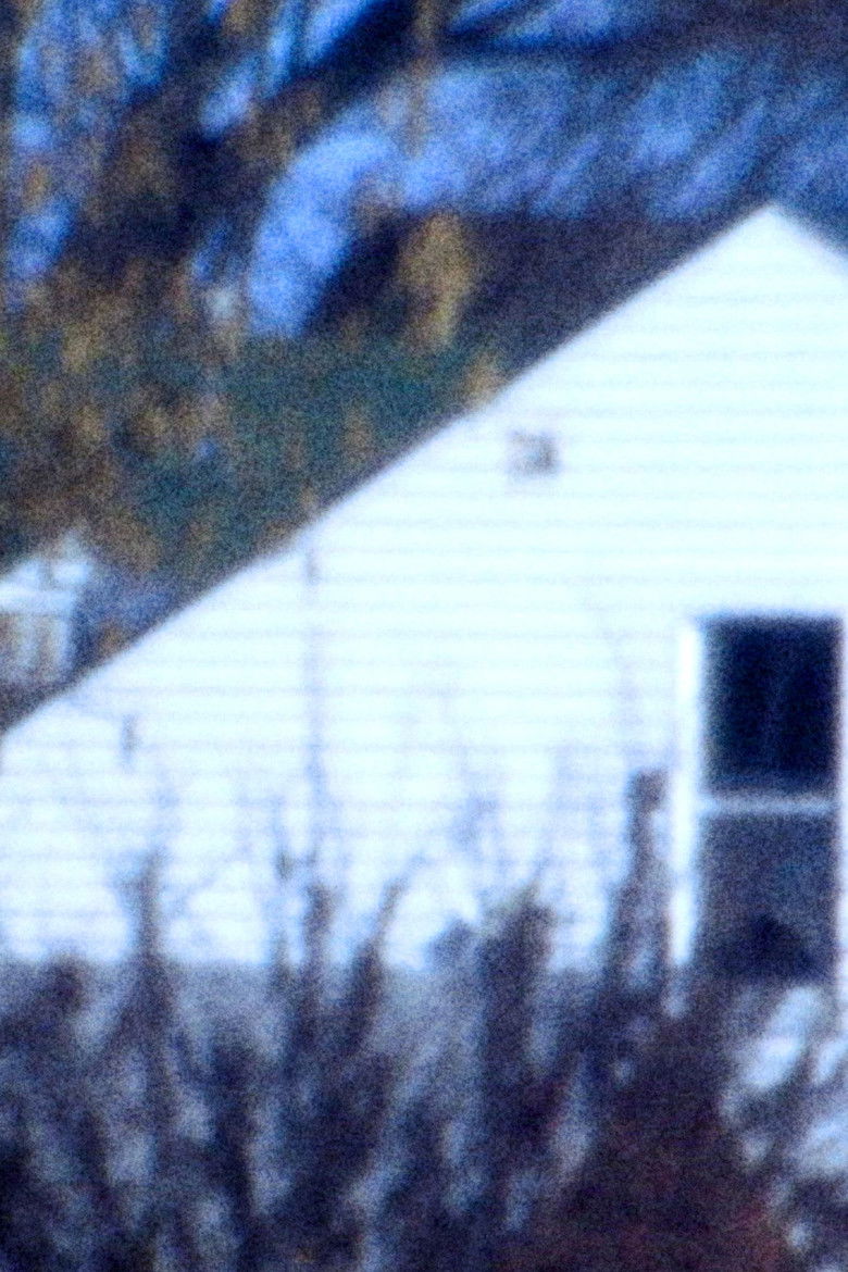 Imatge de Winter Wept