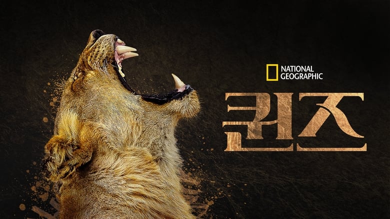 Gallery image from pq9Y8yCUA6p52FDIQkWe8F9JcSJ.jpg