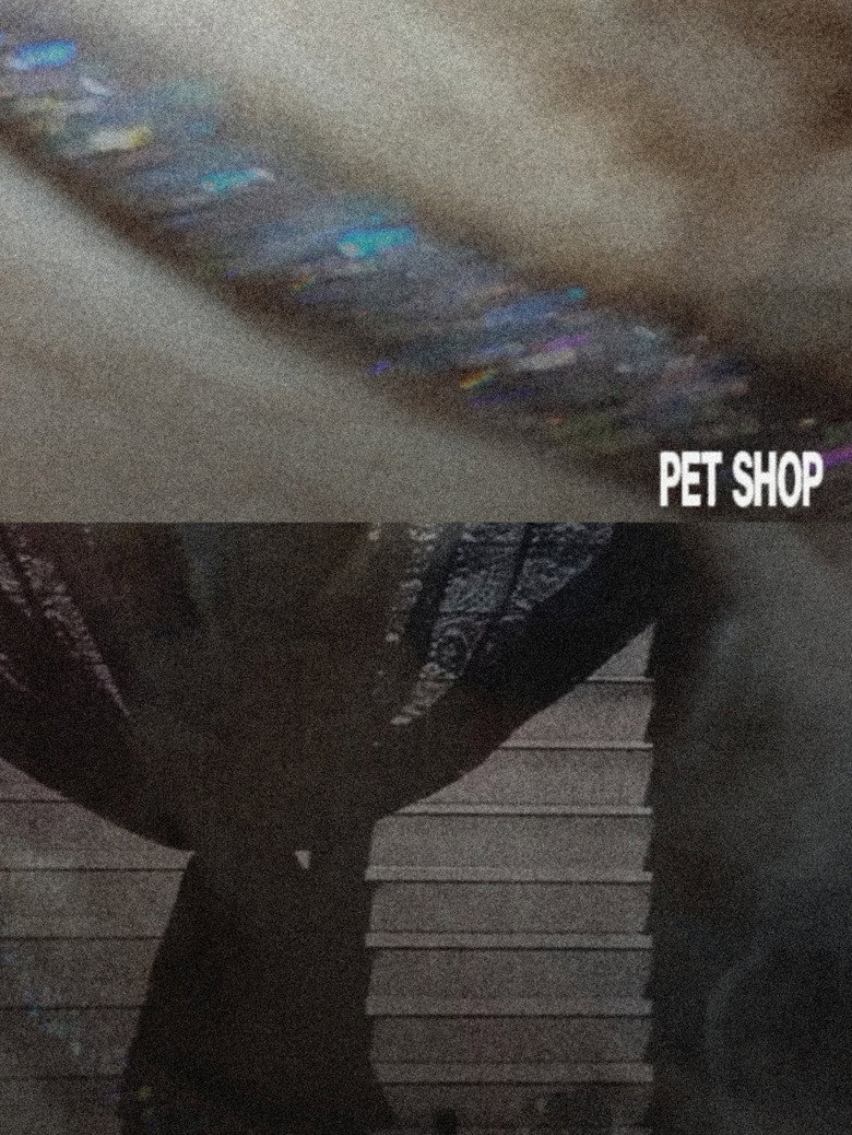 Imatge de Tienda de perros