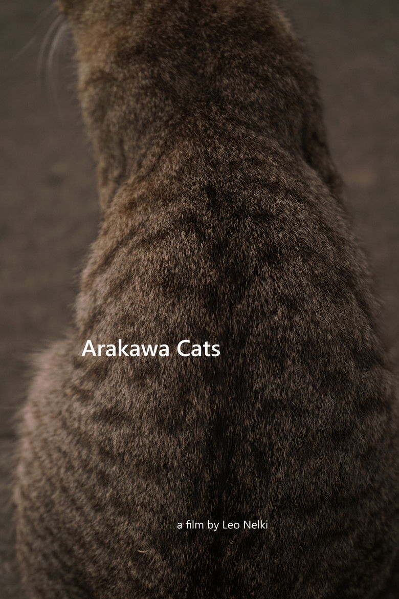 Imatge de Arakawa Cats