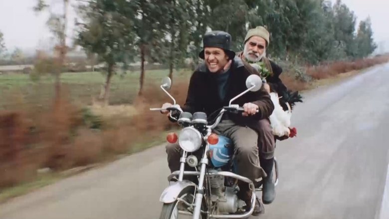 Gallery image from ps9g56Wg3sjaK9q8j6FS7S0WTY1.jpg