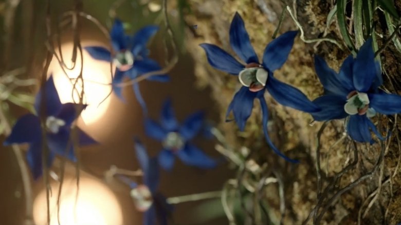 Gallery image from psYgb4YFoWCvCIGLUNPmQ2LJSTm.jpg