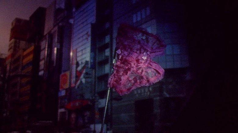 Backdrop