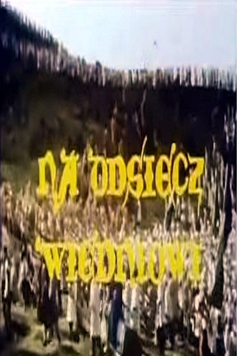 Na odsiecz Wiedniowi — affiche