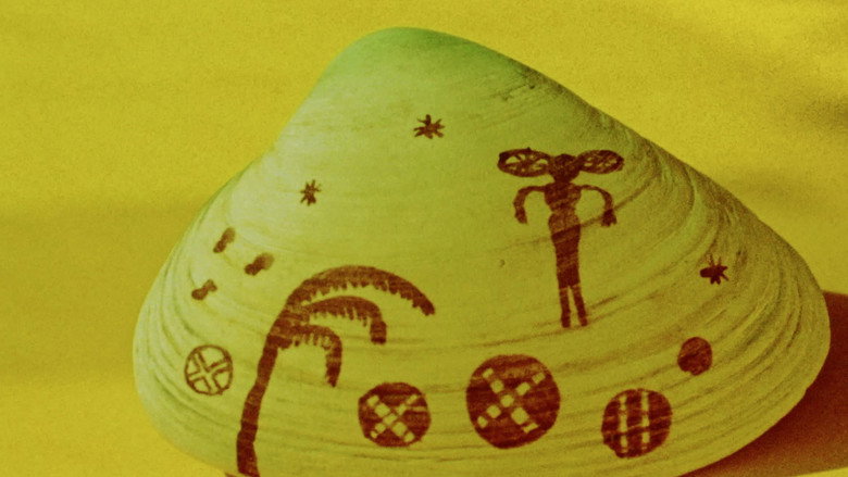 Imatge de M.A.G.N.E.T