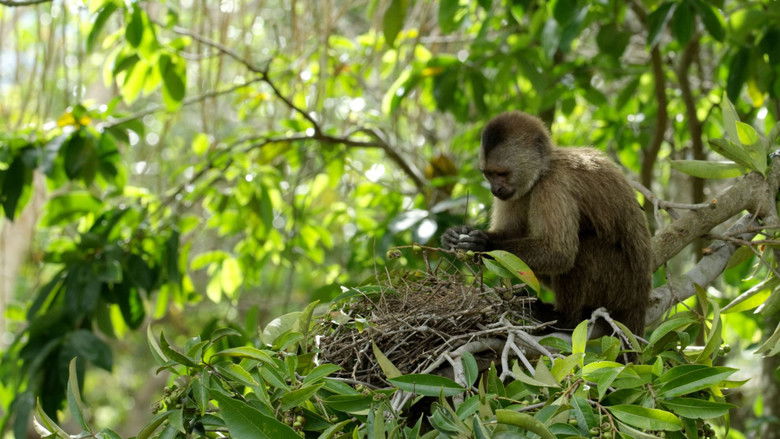 Still image for Guyana season 1 episode 2: Episode 2