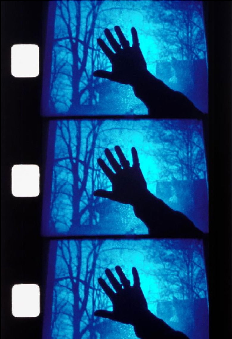 Imatge de Liberté provisoire