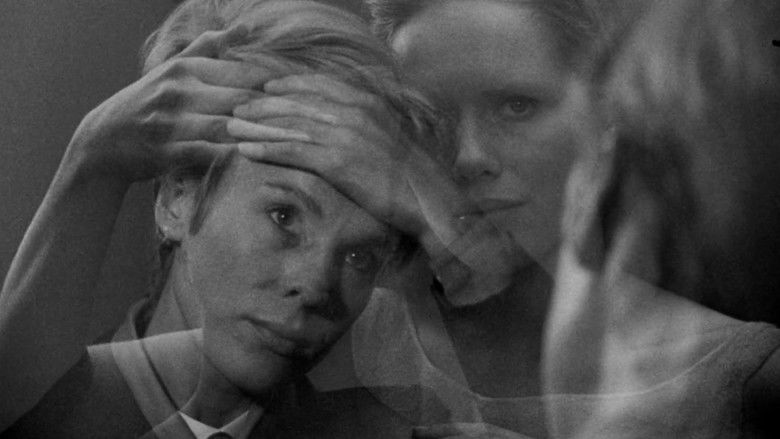 Gallery image from ptbtfZ2Ii7S1Rp1E5Ai1Rwz59vu.jpg