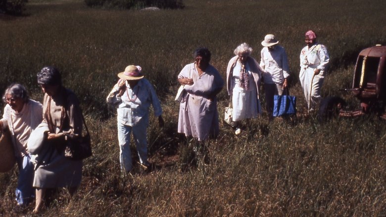 Gallery image from ptzjbIJ37dDXCQBMjrUvkvgiJc.jpg