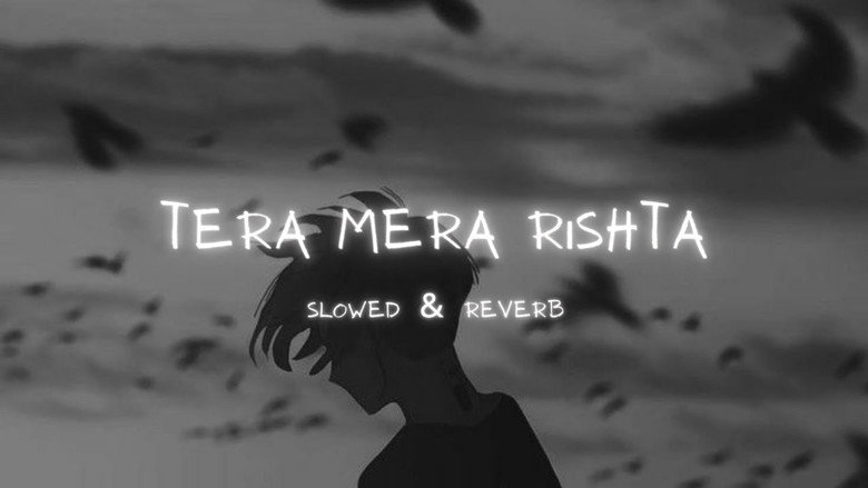 Tera Mera Rishta