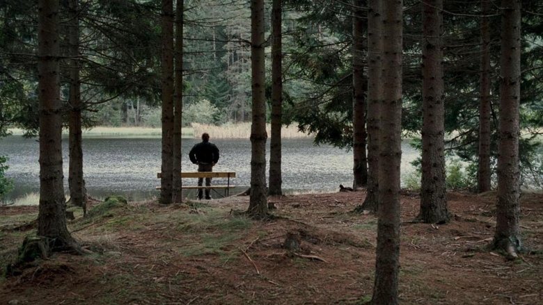 Gallery image from pvhrSTT2yNeSHue5WHnf6fBLs0a.jpg