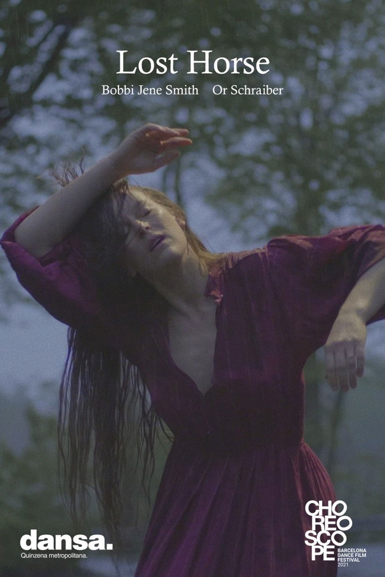 Imatge de Lost Horse