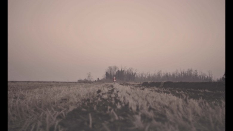 Gallery image from pwQYhO0urBVsRdT3VVuBLC4IBvq.jpg