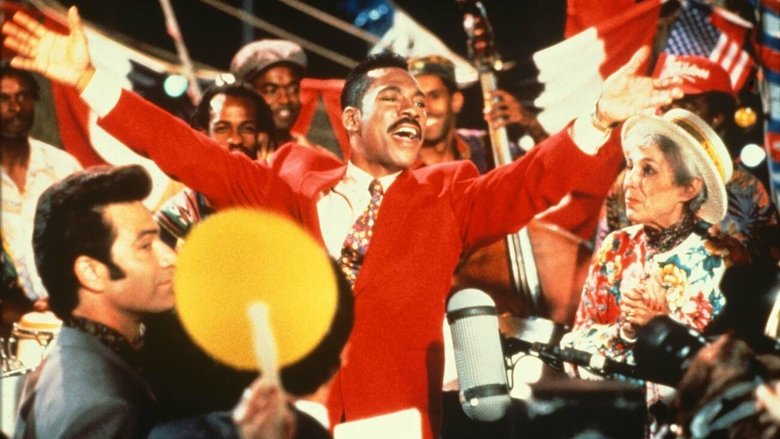 The Distinguished Gentleman (1992)