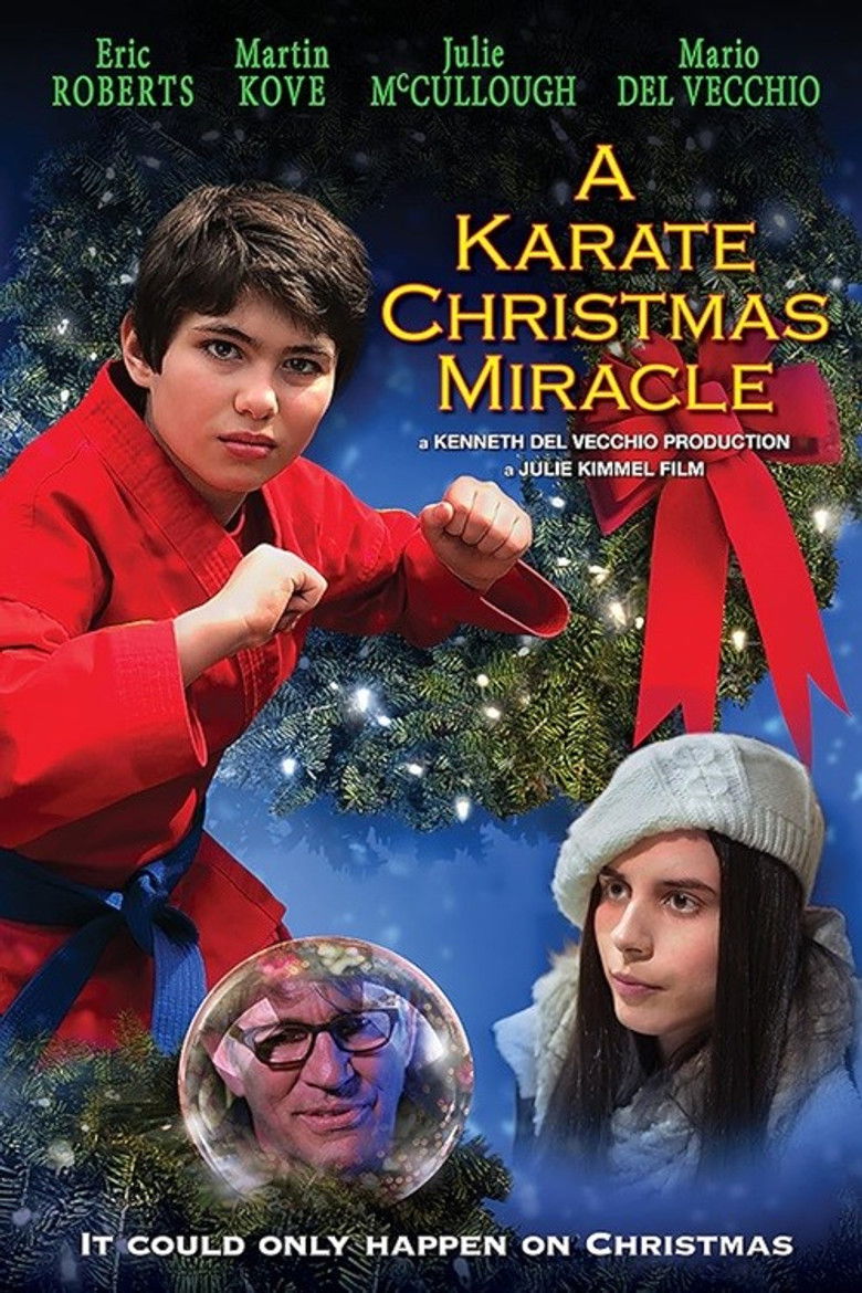 Imatge de A Karate Christmas Miracle