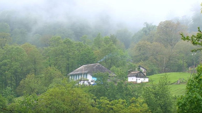 Image d'arrière-plan 2 du film The Fog Will Carry Us