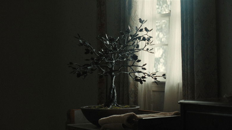 Gallery image from pwqzg0Hg3GicfFJFEjzj4s24Mzb.jpg