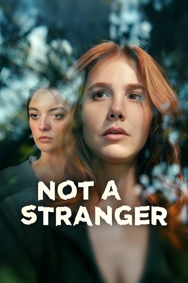 Not a Stranger