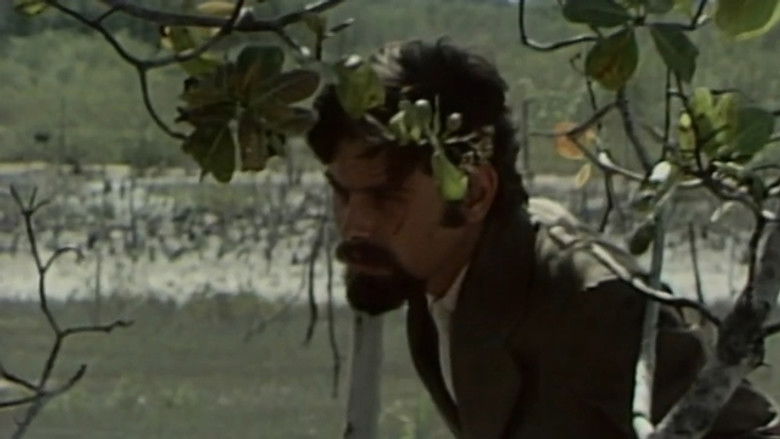 Still image for A Moreninha season 1 episode 70: Chapter 70