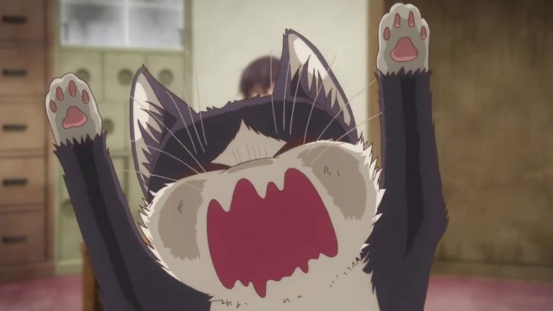 Download My Roommate Is A Cat Doukyonin Wa Hiza Tokidoki Atama No Ue HD Get Wallpaper My Roommate Is A Cat Doukyonin Wa Hiza Tokidoki Atama No Ue Desktop Wallpaper Free