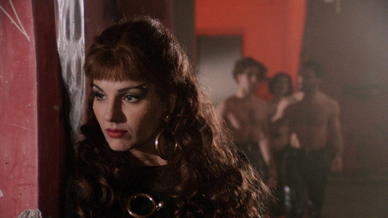 Image d'arrière-plan 8 du film Arabella l'angelo nero