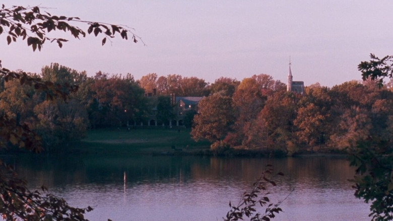 Film backdrop
