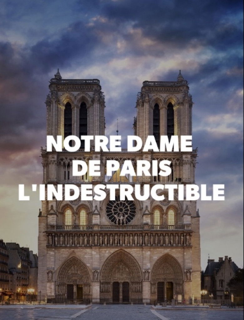 Imatge de Notre-Dame de Paris, l'indestructible