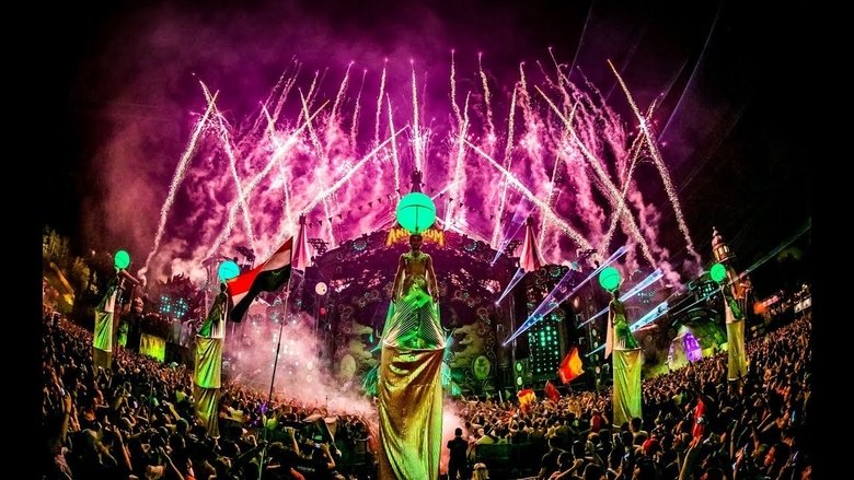 Dimitri Vegas & Like Mike Live at Tomorrowland 2017