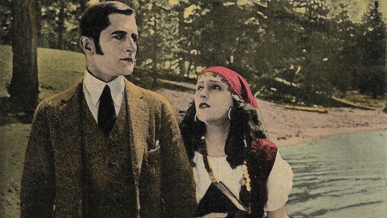 Image d'arrière-plan 6 du film The Dream Lady