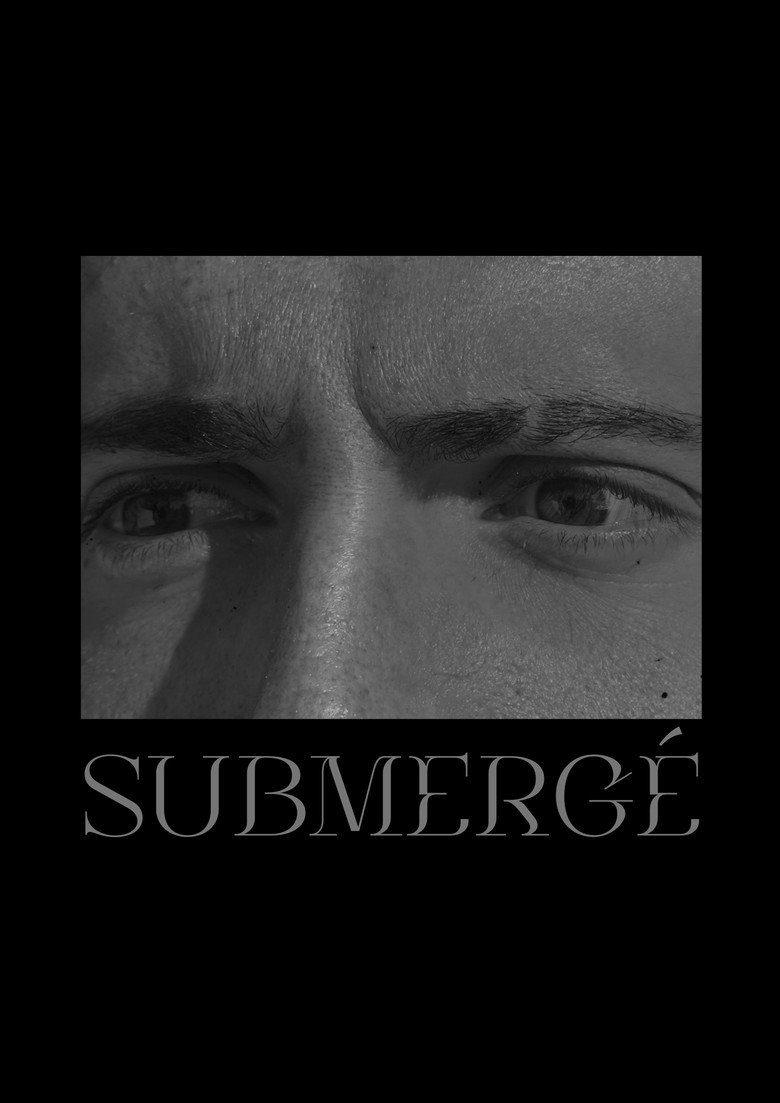 Imatge de SUBMERGÉ