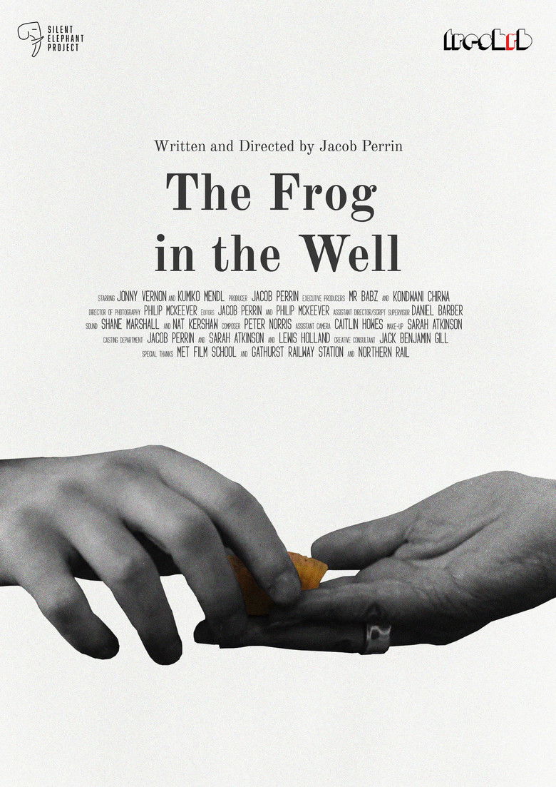 Imatge de The Frog in The Well