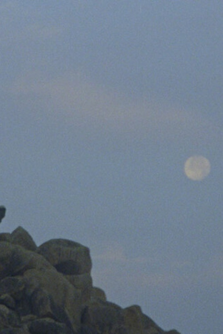 Imatge de Slow Shift