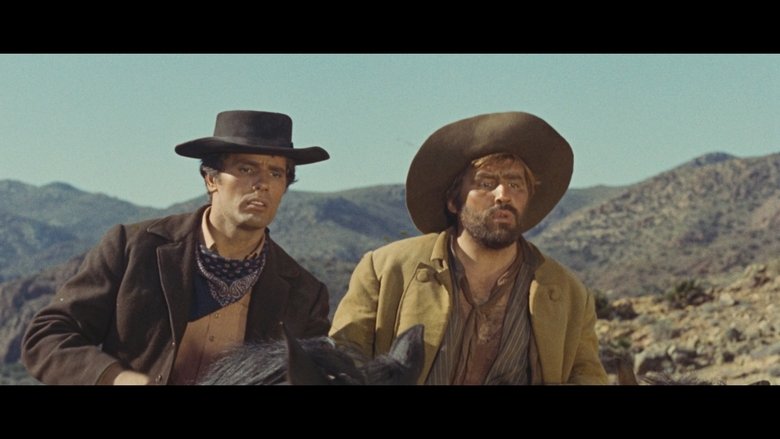 A Sky Full of Stars for a Roof