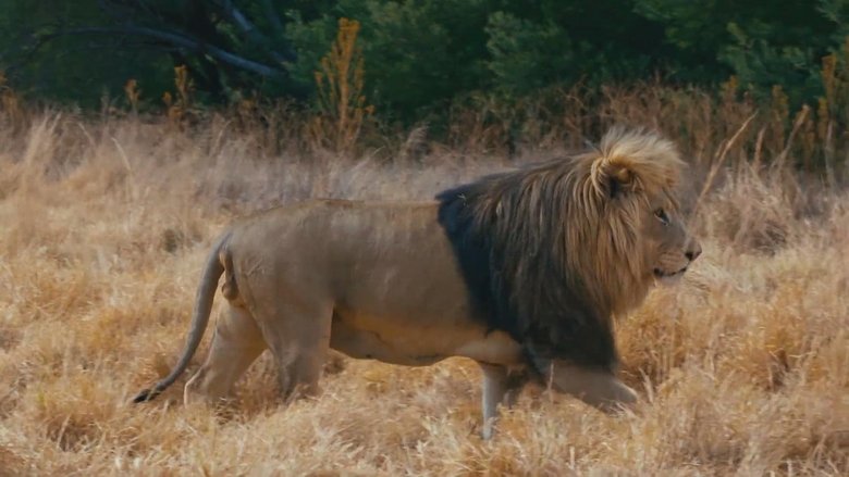 Gallery image from q0mwIUgV36Udc74VdFkpSuhHwqD.jpg