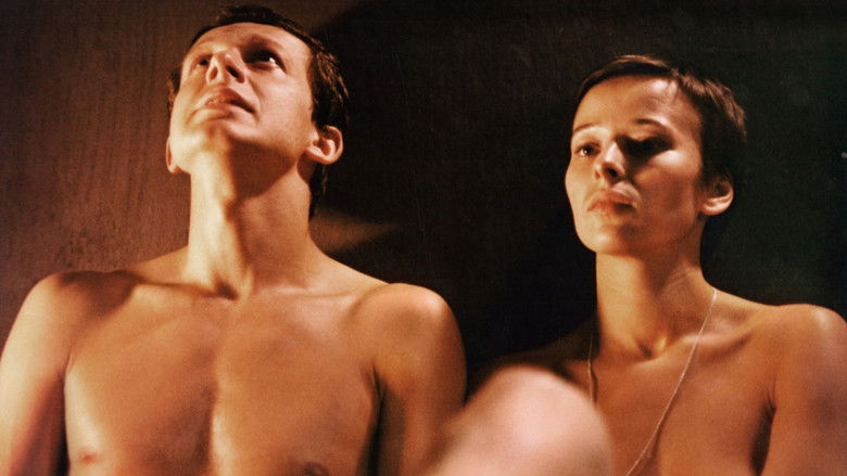 Image d'arrière-plan 6 du film Le Hasard