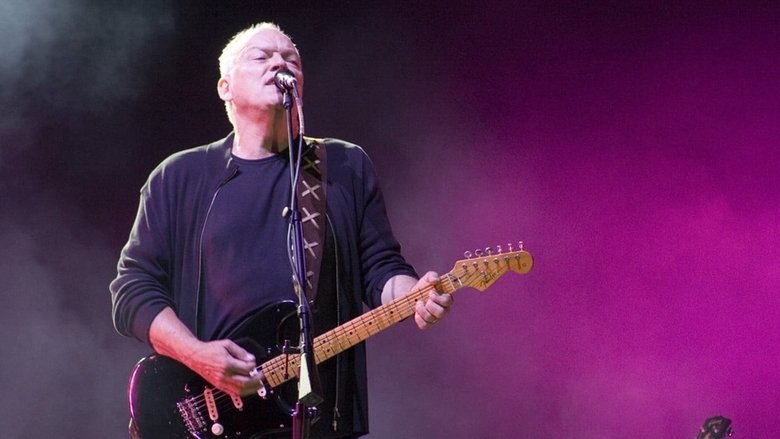 David Gilmour: In Concert movie poster