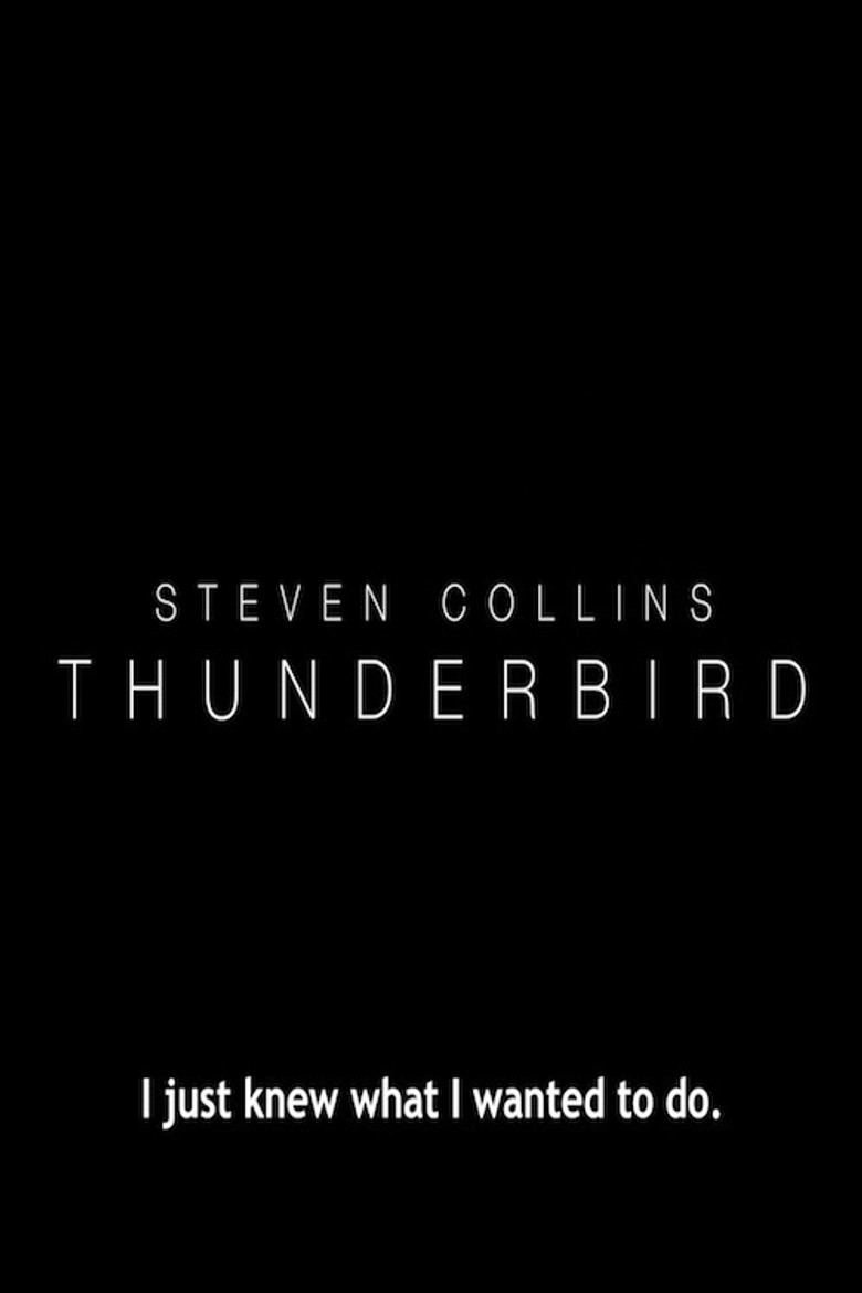 Affiche ou illustration — Thunderbird