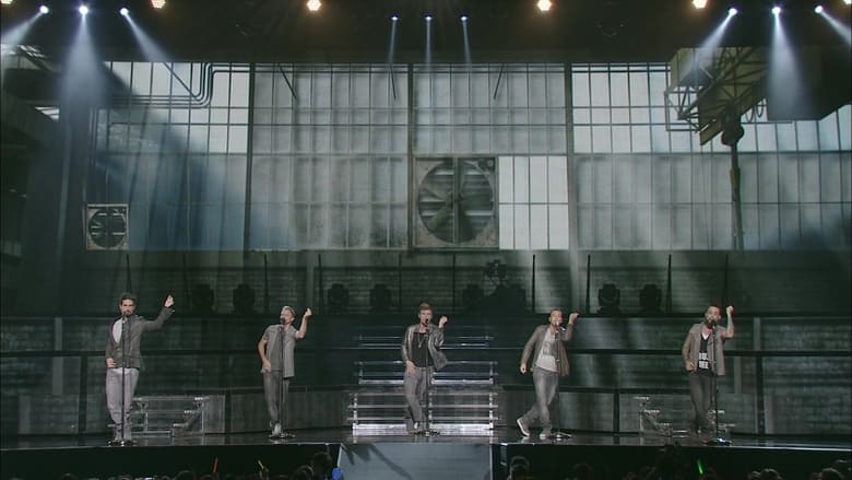 Backstreet Boys: In a World Like This Japan Tour 2013