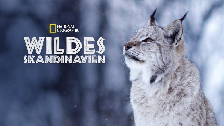 Gallery image from q1kC9EuWJ1ce2QyzaKrXI7RRELe.jpg