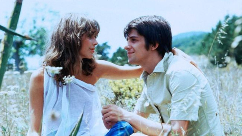 Summer Night Fever Photo 5