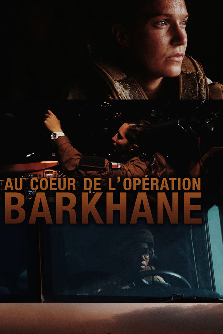 Imatge de Au cœur de l'opération Barkhane