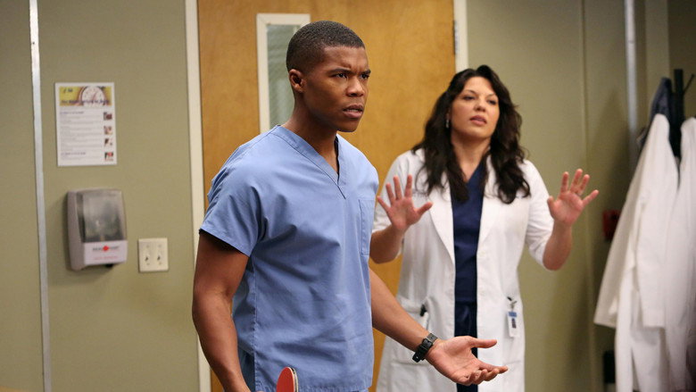 Grey's Anatomy Season 9 Episode 11
