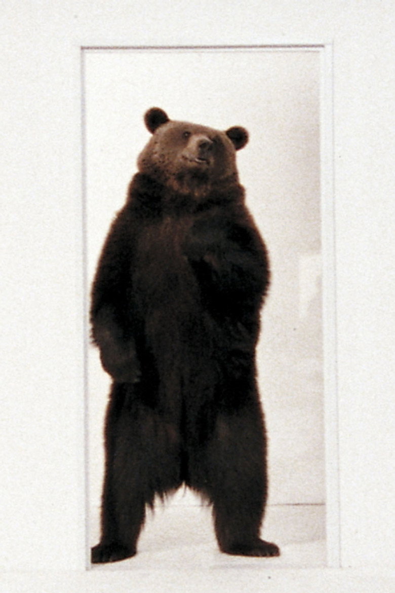 Affiche ou illustration — Bear