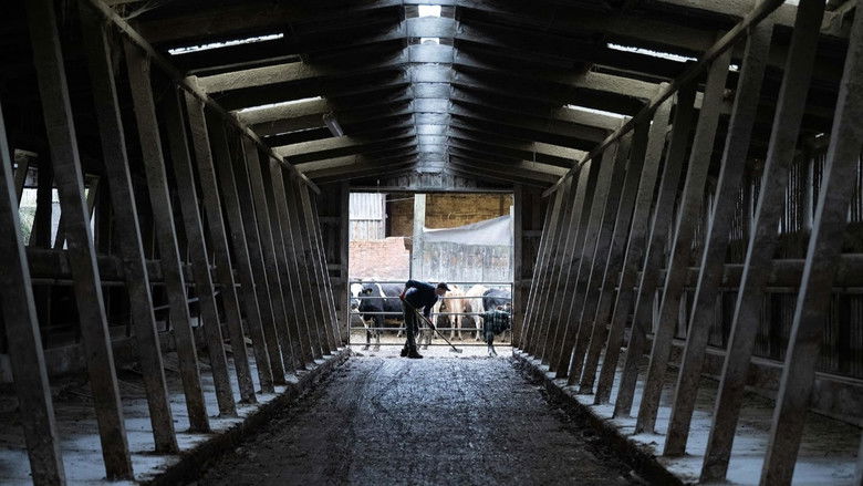 Image d'arrière-plan 5 du film Wake