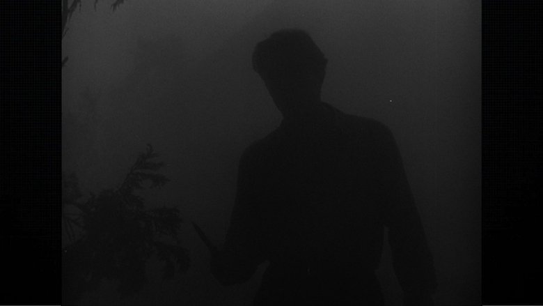 Gallery image from q3sGPULsZ9iMCeFPLlRPVk9kvFK.jpg