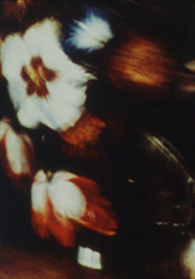 Imatge de The Parable of the Tulip Painter and the Fly