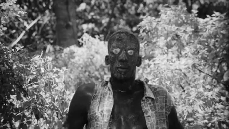 I Eat Your Skin (1971)