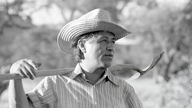 Gallery image from q586h3tsRYPZgPTJR0TwKRvY0i8.jpg