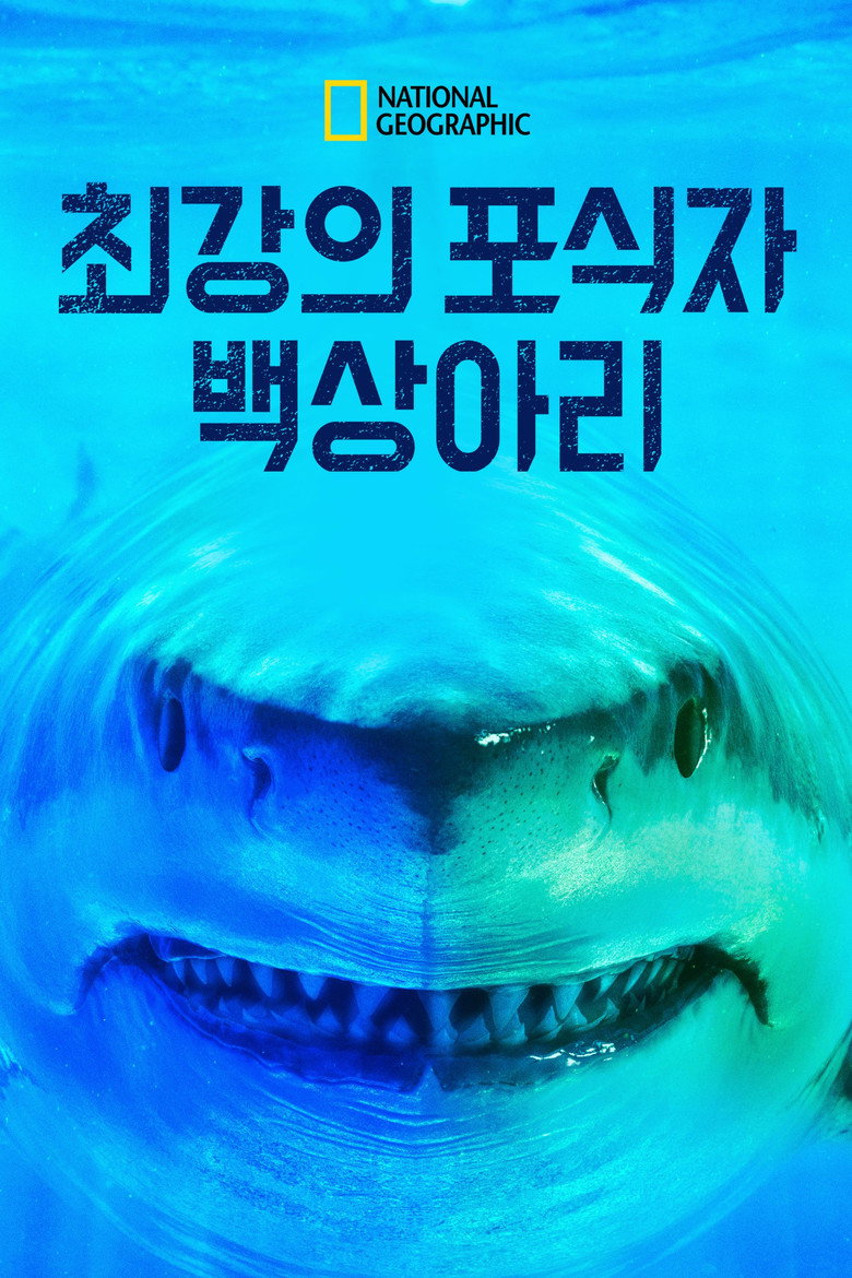 최강의 포식자, 백상아리(World's Biggest Great White?) poster